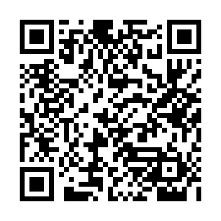 QR code for VJD011