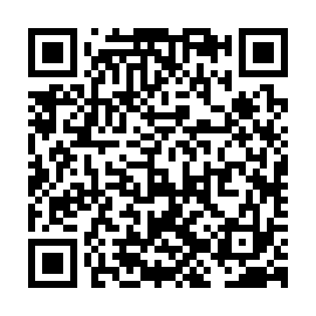 QR code for VJR333