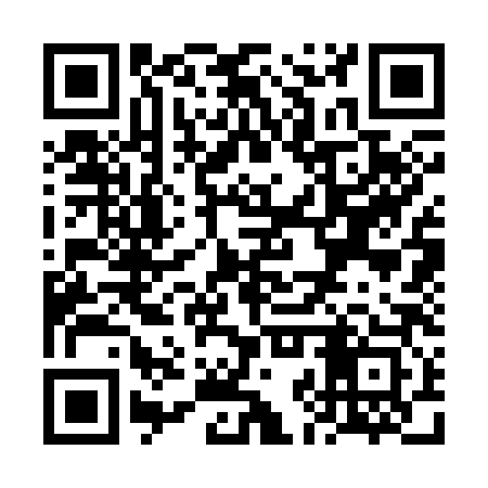 QR code for VJS383