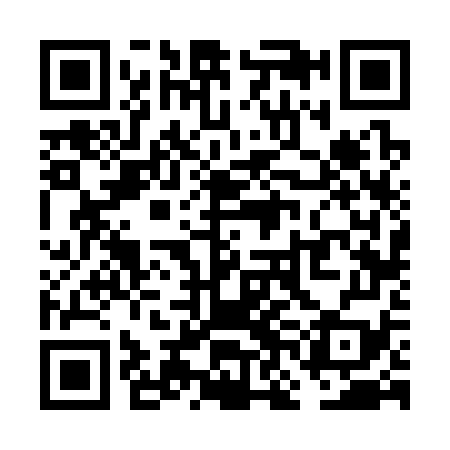 QR code for VNF379