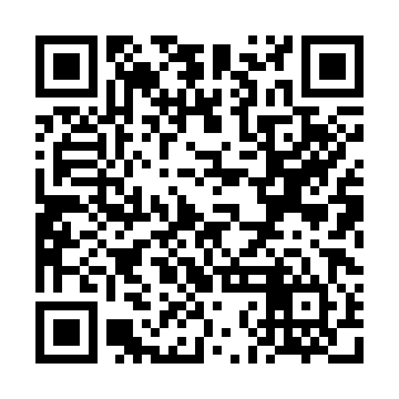 QR code for VNH384