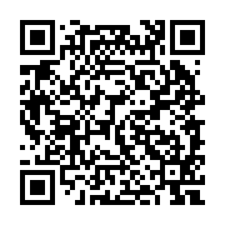 QR code for VNT295