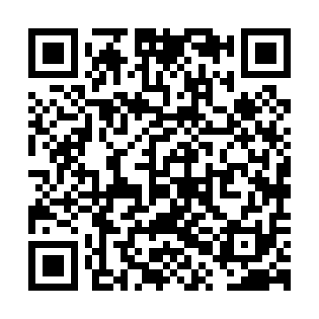 QR code for VPH011