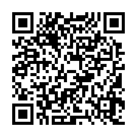 QR code for VSM336