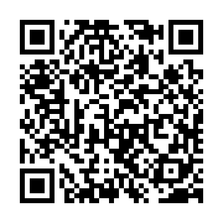 QR code for VSR368