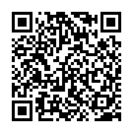 QR code for VVS368