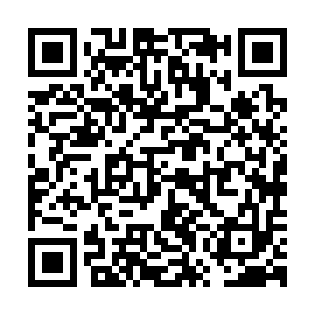 QR code for VWH313