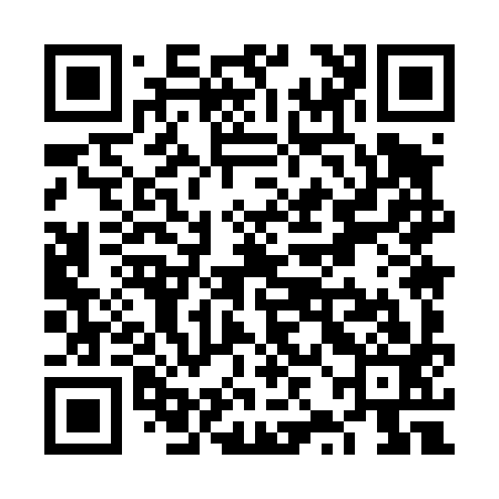 QR code for VZM493