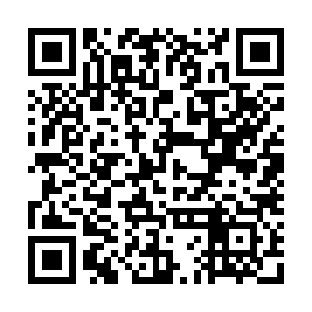 QR code for WFG383