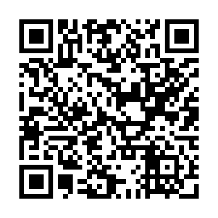 QR code for WFV941