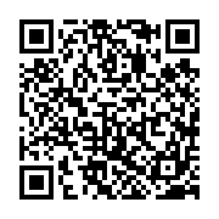 QR code for WHX617