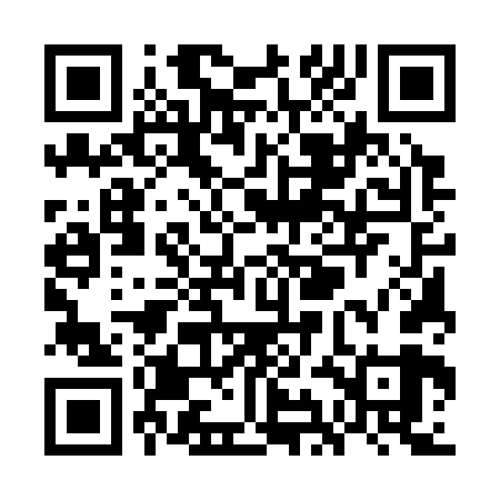 QR code for WIE369