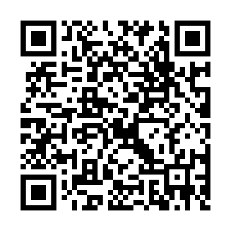 QR code for WIP917
