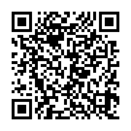 QR code for WIT739