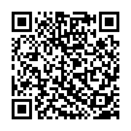 QR code for WPN378