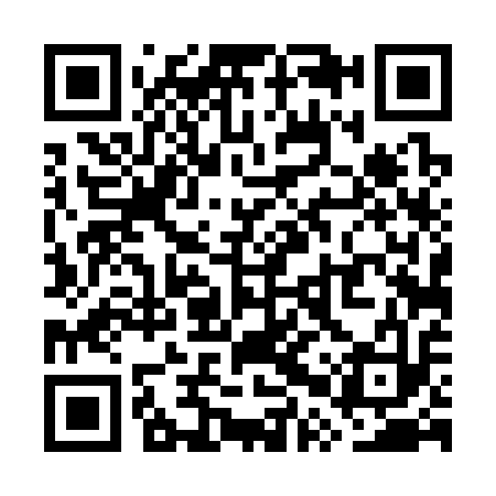 QR code for WPT313