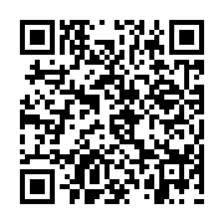 QR code for WRO919