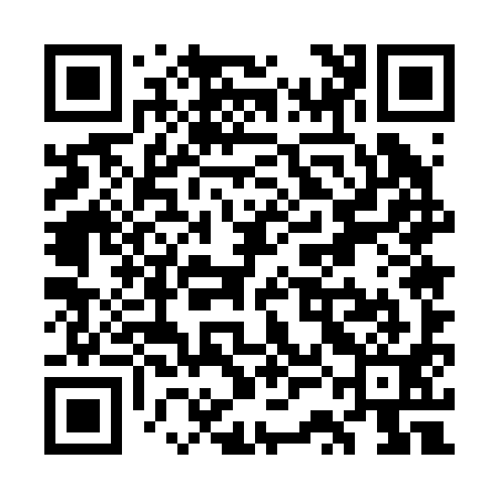 QR code for WSE291