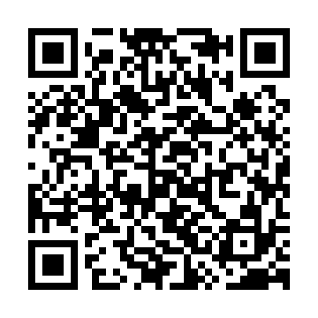 QR code for WSI132