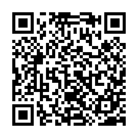 QR code for WSV007