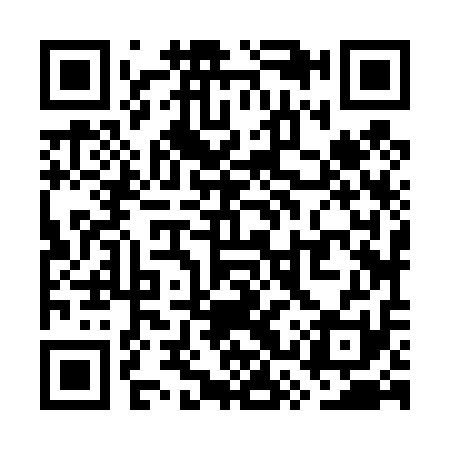 QR code for WSZ411