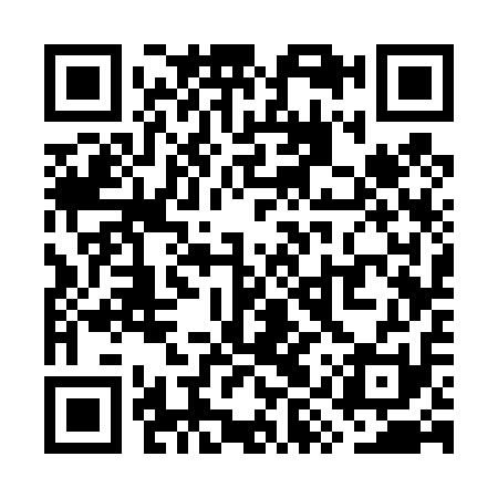 QR code for WYS411
