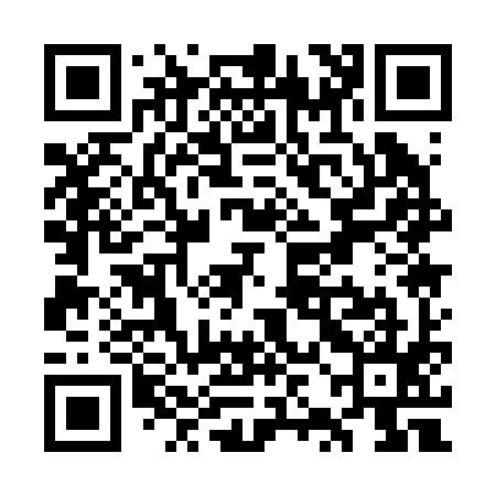 QR code for WZA295