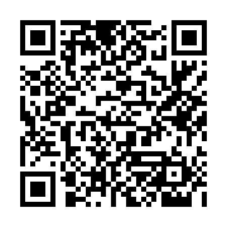 QR code for WZL411