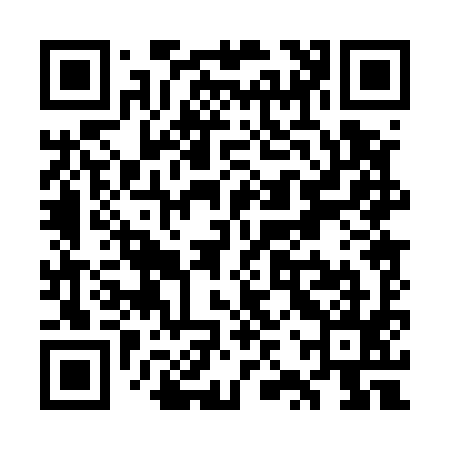 QR code for WZP595