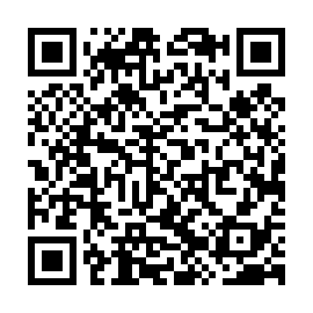 QR code for WZT438