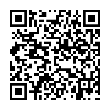 QR code for WZU334
