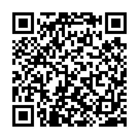 QR code for WZV613