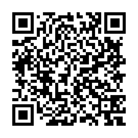 QR code for WZY878