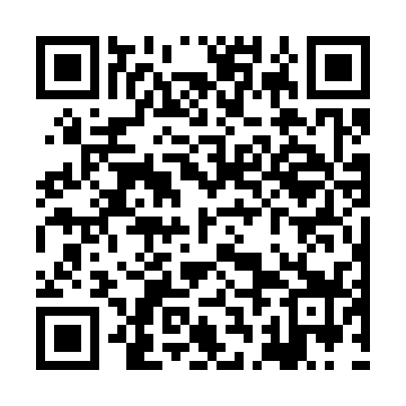 QR code for XBG339