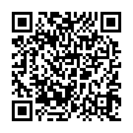 QR code for XDD319