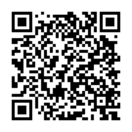 QR code for XDE009