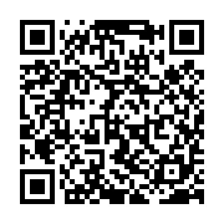 QR code for XDI495