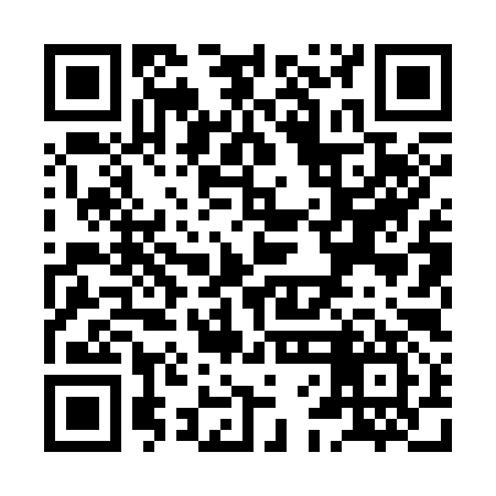 QR code for XFL397