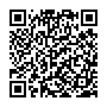 QR code for XFL653