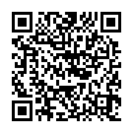 QR code for XGF333