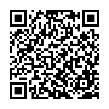QR code for XGO386