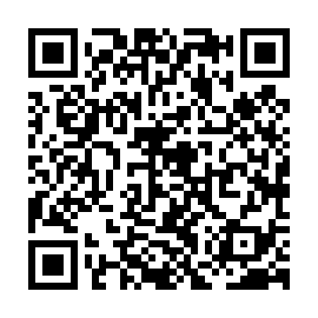 QR code for XGX439