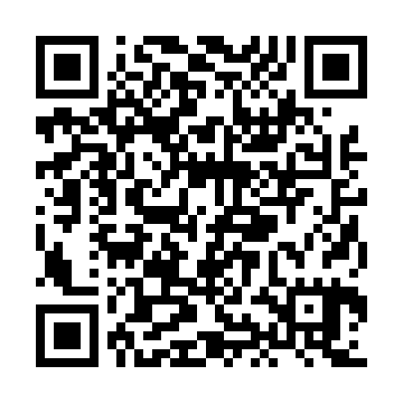 QR code for XIB425