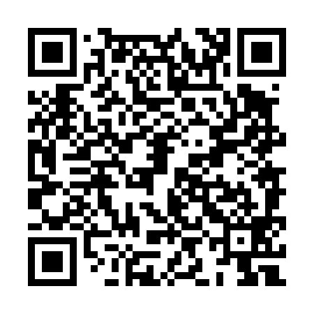 QR code for XIN499