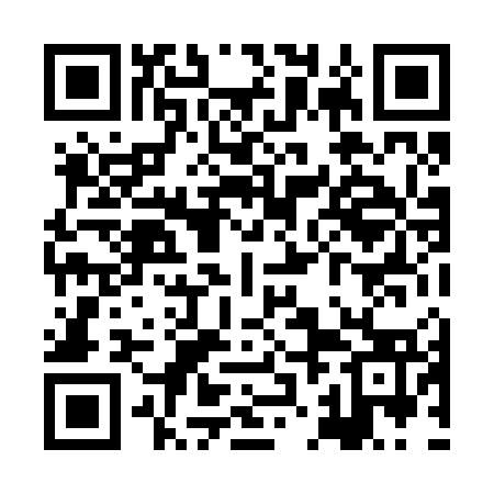 QR code for XJL273