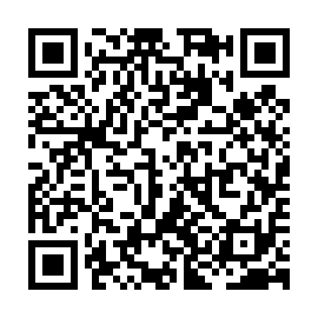 QR code for XKC411
