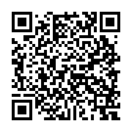 QR code for XKX383