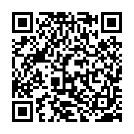 QR code for XLN293