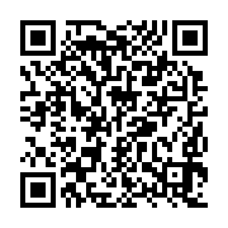 QR code for XQR393
