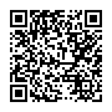 QR code for XVG381